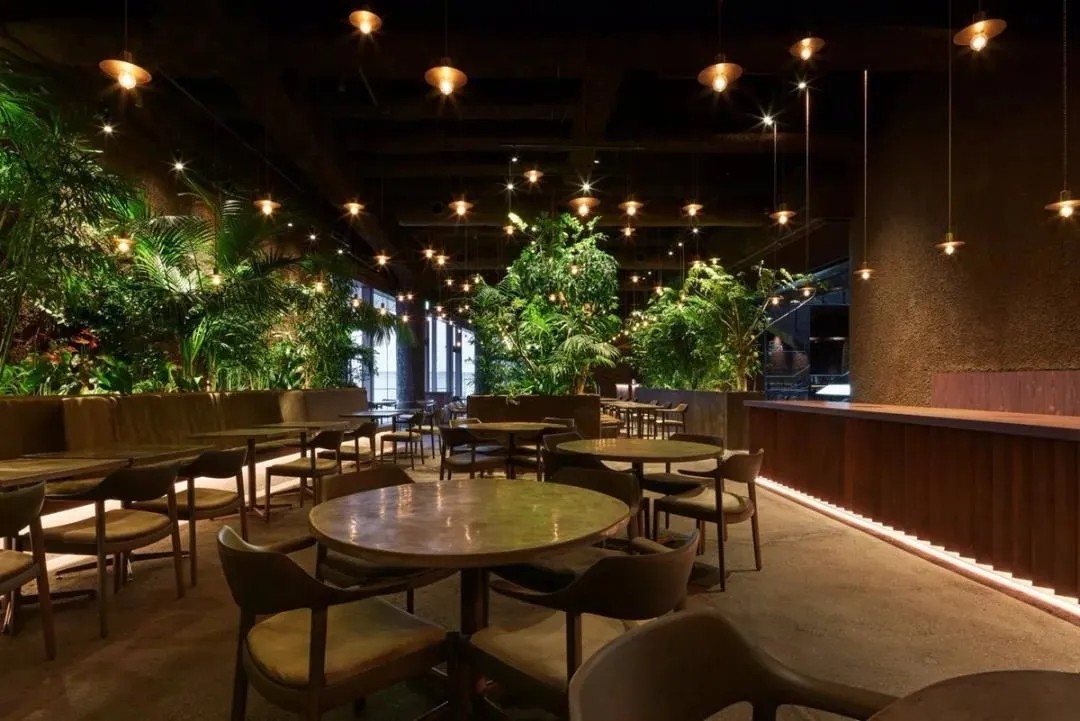 日本餐厅绿植植入